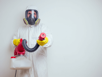 About WP Homecare group - pest control experts in Blacktown